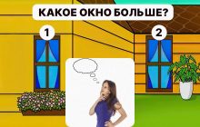 Какое окно больше: надо иметь высокий IQ, чтобы дать правильный ответ за 5 секунд