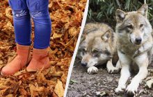 Что можно и нельзя делать 20 ноября: чем опасен сегодняшний день