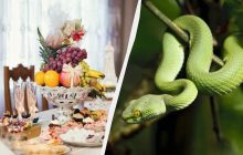 Этих блюд на новогоднем столе 2025 быть не должно: их многие хозяйки готовят каждый год