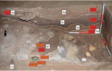 В прибрежной пещере неандертальцев обнаружили 60-тысячелетнюю печь для изготовления клея