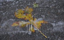 У Києві ставатиме все холодніше: названо дату, коли навіть вдень буде мороз (інфографіка)