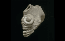 Ацтекські "свистки смерті" змушували людський мозок працювати по-особливому