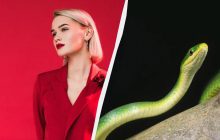 Почему на Новый год нельзя надевать красный цвет: можете накликать гнев Змеи