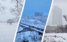 Потужні снігопади в Південній Кореї: жертв стає більше (фото)