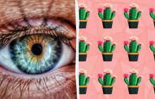 Треба серед 24 кактусів знайти "унікальний" за 8 секунд: дивовижна оптична ілюзія