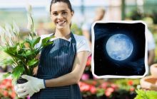 Що обов'язково зробити на ділянці в грудні 2024: посівний календар і список справ