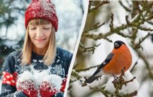 Що не можна і що потрібно зробити 1 грудня: прикмета для щастя на весь рік