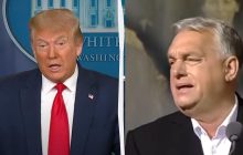 Трамп несколько раз звонил Орбану после победы на выборах, - СМИ