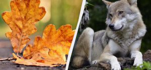 Что можно и нельзя делать 2 ноября: шесть важных запретов сегодня