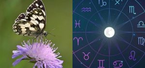 Дева - лесная нимфа, Скорпион - траурница: какая вы бабочка по знаку Зодиака