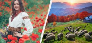 Что можно и нельзя делать 11 ноября: примета на счастье в День Анастасии