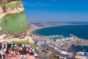 Красиві пляжі та парк з сотнями крокодилів: названо місто у Марокко, де досі панує тепло