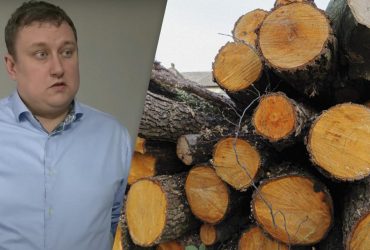 Українцям загрожує штраф за зберігання дров без документів: адвокат пояснив деталі