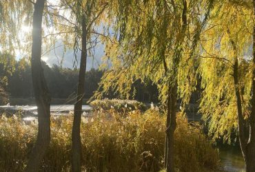 Сьогодні у Києві буде один з найтепліших днів тижня