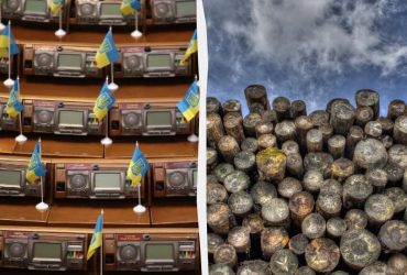Законопроект про дрова спрямований не проти населення: нардеп назвав мету документа