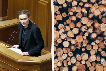 Кому не загрожуватиме штраф за дрова: нардепка все пояснила