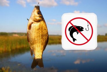 1581 грн за карася: как будут штрафовать за рыбалку в Украине с 1 ноября