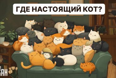 Надо найти настоящего кота за 5 секунд: очень простой тест для проверки IQ