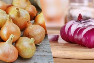 Як правильно зберігати цибулю: поради від експертів, які дадуть змогу збільшити термін придатності