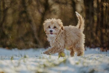 Вторник в Украине будет с морозом: где ждать минус (карта)