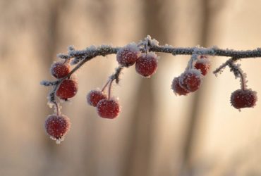 Похолодання вже мчить до України: синоптикиня назвала точні дати