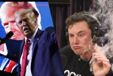 Ілон Маск теж виграв на виборах у США: The Guardian розповіло, що отримає мільярдер