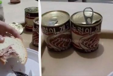 Окупантів годують консервами з північнокорейських собак, - BILD