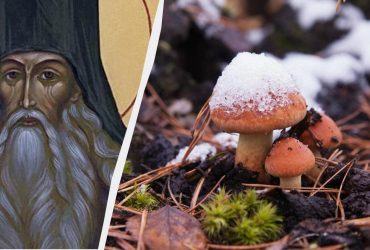 Що можна і що не можна робити 15 листопада: про що моляться сьогодні