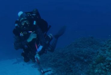 Ученые нашли самый большой коралловый риф в мире, его видно даже из космоса (видео)