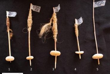 Камни возрастом 12 000 лет могут раскрыть корни технологии колеса, - исследование