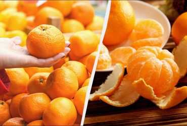 Ці 3 сорти мандарин найсолодші: правила, як вибрати фрукт