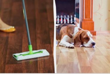 Даже старый паркет заблестит: вот что нужно добавить в воду для мытья