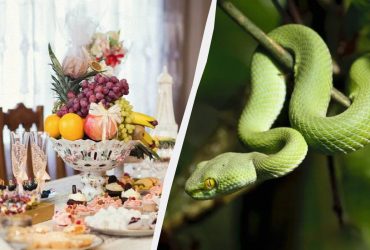 Цих страв на новорічному столі 2025 бути не повинно: їх багато господинь готують щороку