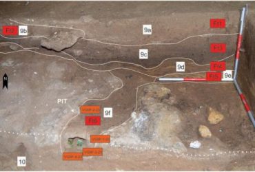 В прибрежной пещере неандертальцев обнаружили 60-тысячелетнюю печь для изготовления клея