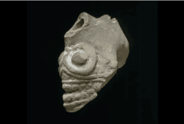 Ацтекські свистки смерті змушували людський мозок працювати по-особливому