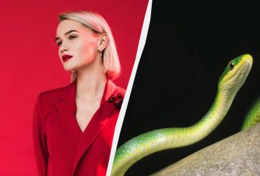 Почему на Новый год нельзя надевать красный цвет: можете накликать гнев Змеи