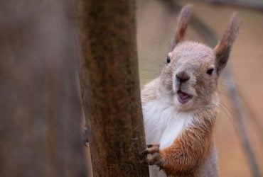 25 ноября в Киеве будет холодно, - прогноз