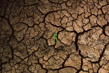 За 10 років запаси прісної води на Землі значно скоротилися: чим це загрожує