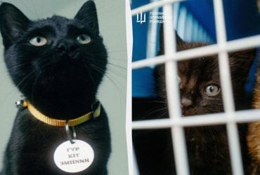 Операція ГУР-КІТ: розвідники провели нетипову евакуацію з острова Зміїний (фото)