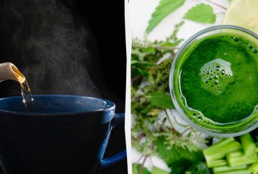 Что любит мозг: названы 10 напитков