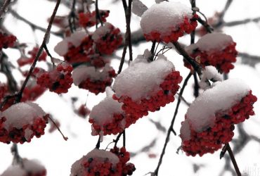 Відома синоптикиня повідомила, коли в Україні потеплішає та почнуться опади