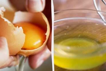 Де більше білка в жовтку чи в білку: вчені розкрили секретну користь курячого яйця