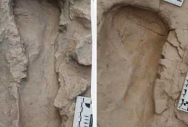 Учені вперше довели, що два види древніх людей жили поруч один з одним