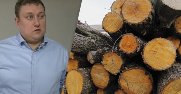 A fine for storing firewood – what can threaten Ukrainians who do not have documents for wood – UNIAN