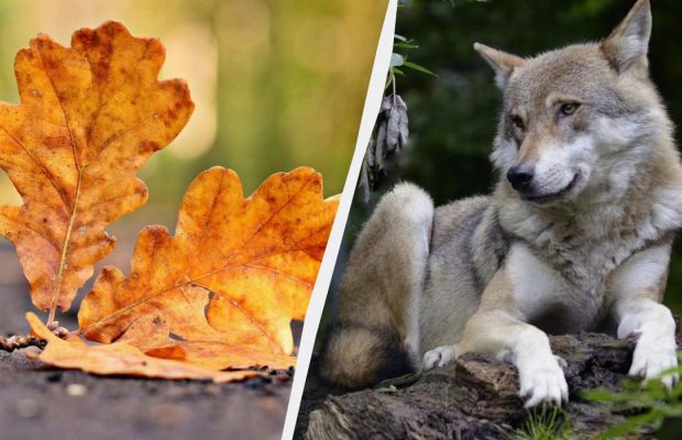 Что можно и нельзя делать 2 ноября: шесть важных запретов сегодня