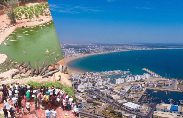 Красиві пляжі та парк з сотнями крокодилів: названо місто у Марокко, де досі панує тепло