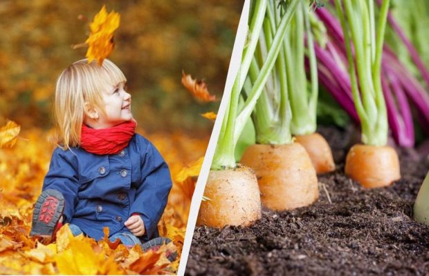 Что можно и нельзя делать 5 ноября: приметы для семейного счастья