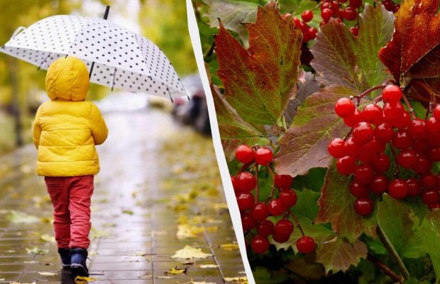 Что можно и нельзя делать 7 ноября 2024: почему нужно поплакать сегодня