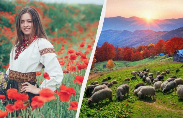 Что можно и нельзя делать 11 ноября: примета на счастье в День Анастасии