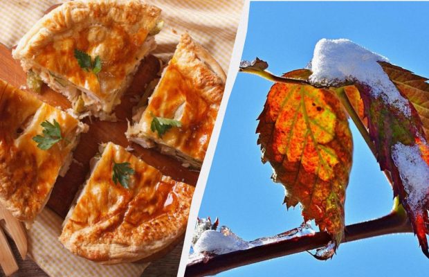 Что можно и нельзя делать 13 ноября 2024: какое блюдо принесет достаток